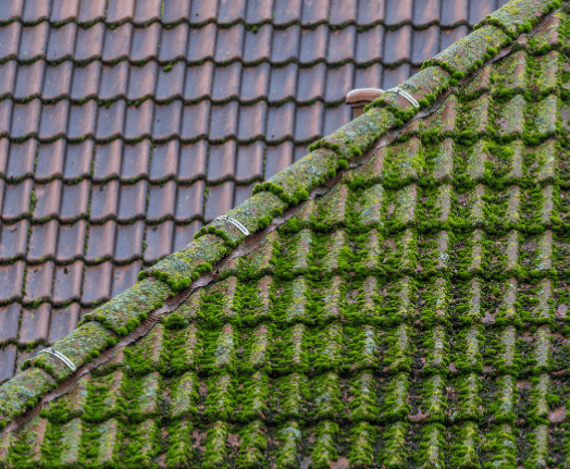 couvreur Toulouse, couvreur Blagnac, couvreur Balma, couvreur Ramonville, couvreur L'Union, énovation de toiture Toulouse, Nettoyage de toiture Toulouse, Isolation de toiture Toulouse, Fuite de toiture Toulouse, Étanchéité de toiture Toulouse, Réparation de faîtage Toulouse, Pose de tuile Toulouse, couvreur zingueur Toulouse, Pose de gouttière Toulouse, Planche de rive Toulouse, Pose de pied de cheminée Toulouse, Charpentier Toulouse, Pose Velux Toulouse